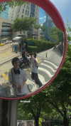 dwpolin Altpins Profile Picture