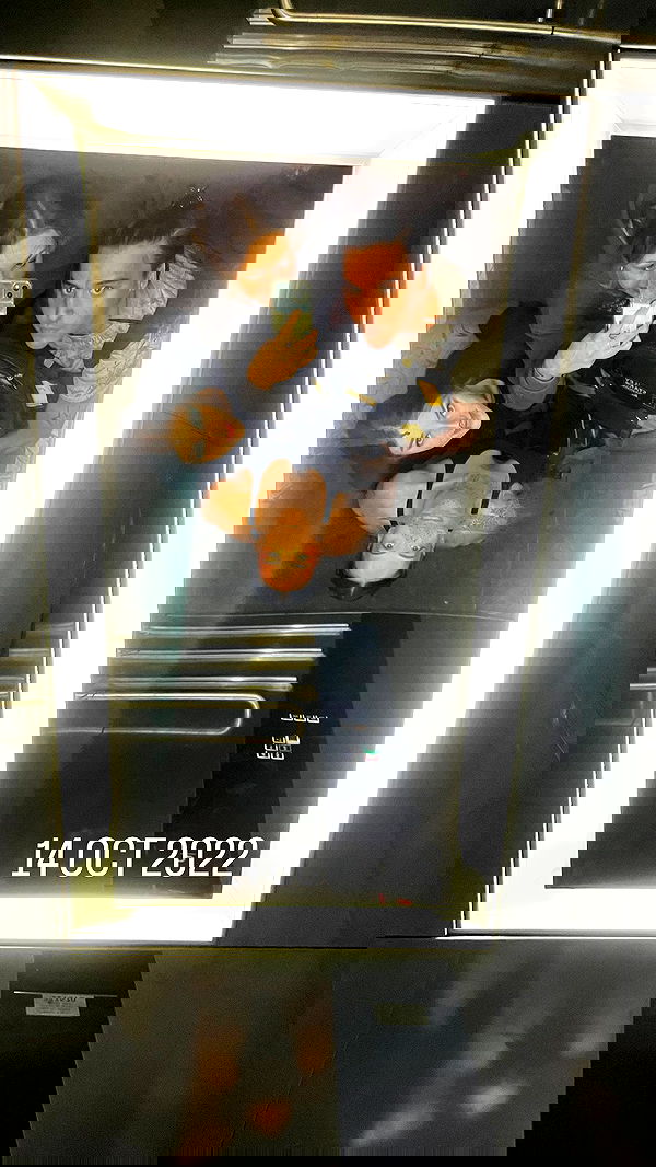 jaroslava_klavir jaroslava_klavir archive image