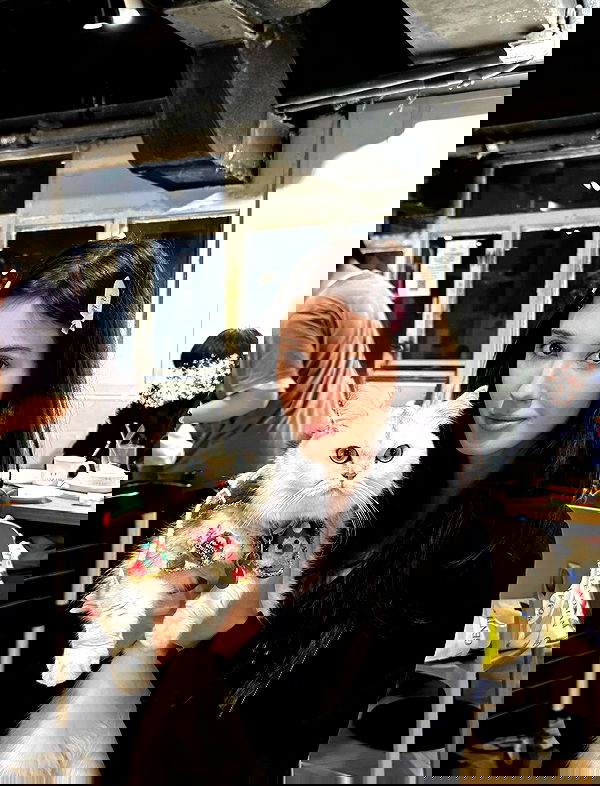 hanna_ky hanna_ky archive image