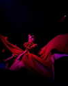 xtina Altpins Profile Picture