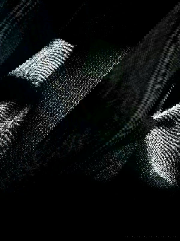 mosssaico mosssaico archive image