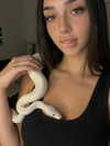 nadiabennt Altpins Profile Picture