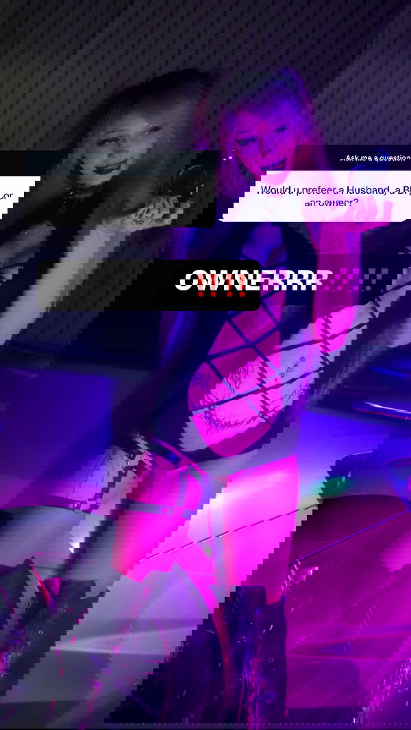 pixelpuppi pixelpuppi archive image