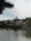 kasumi_sen Altpins Profile Picture