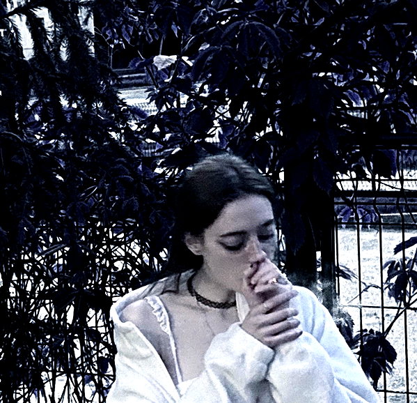 amanitalis instagram image archive image