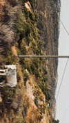 hadas_mayer_ Altpins Profile Picture