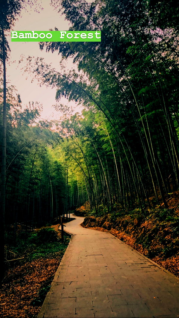 nikoleta.milenova instagram image archive image