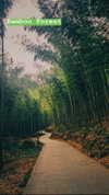 nikoleta.milenova Altpins Profile Picture