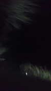 h111allyy Altpins Profile Picture