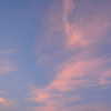ofri.elul Altpins Profile Picture