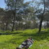 strawberryshanz Altpins Profile Picture