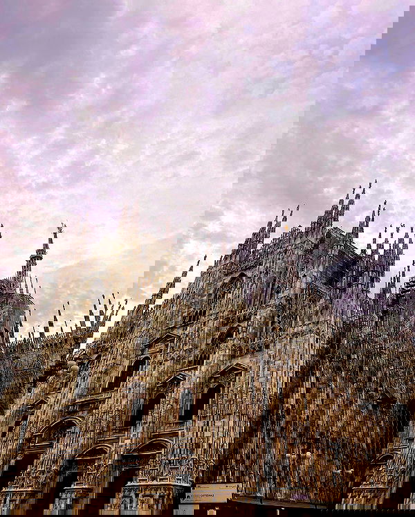 taylor.creeden taylor.creeden archive image