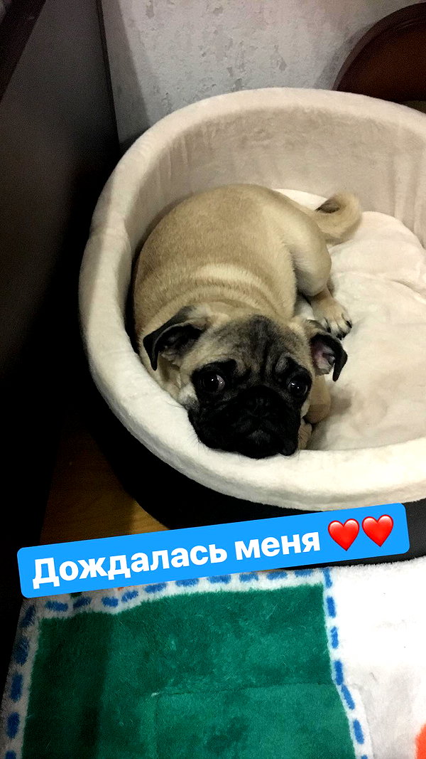 nyiityam instagram image archive image
