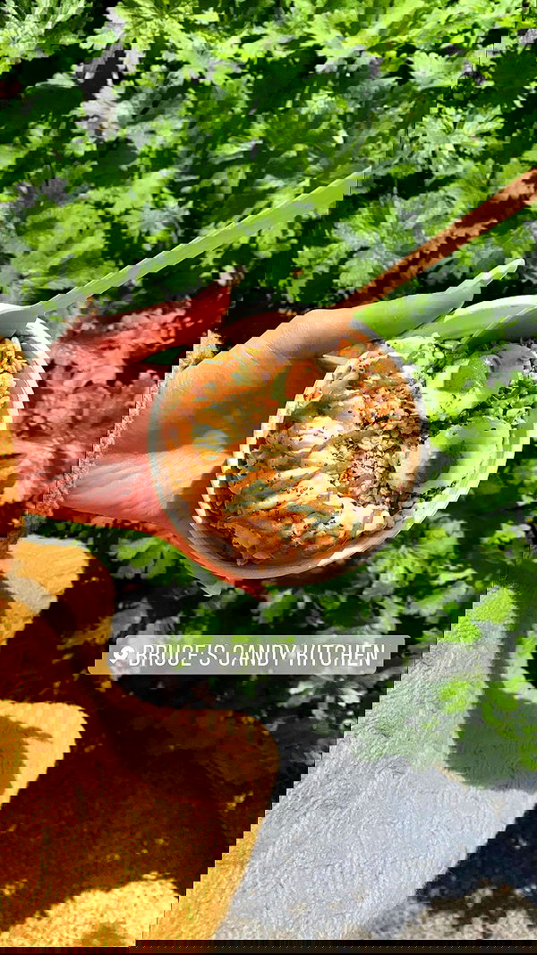 taylor.creeden taylor.creeden archive image