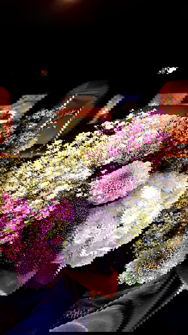 carolinezalog carolinezalog archive image