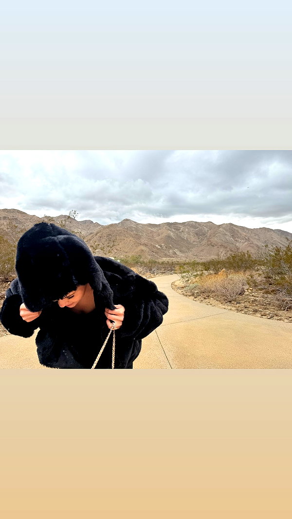 selenagomez selenagomez archive image