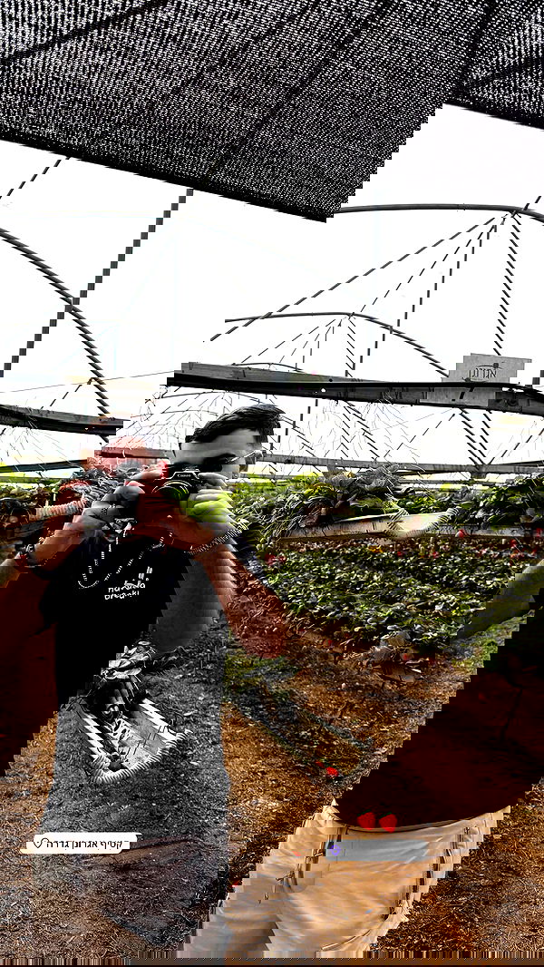 topaz_bn topaz_bn archive image