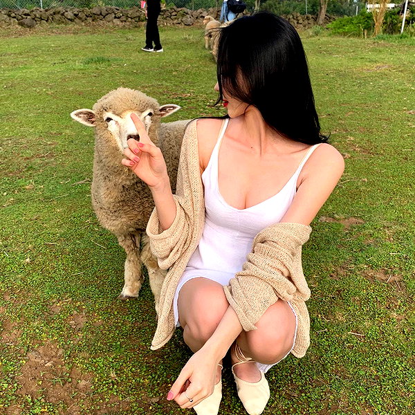 daxbin instagram image archive image