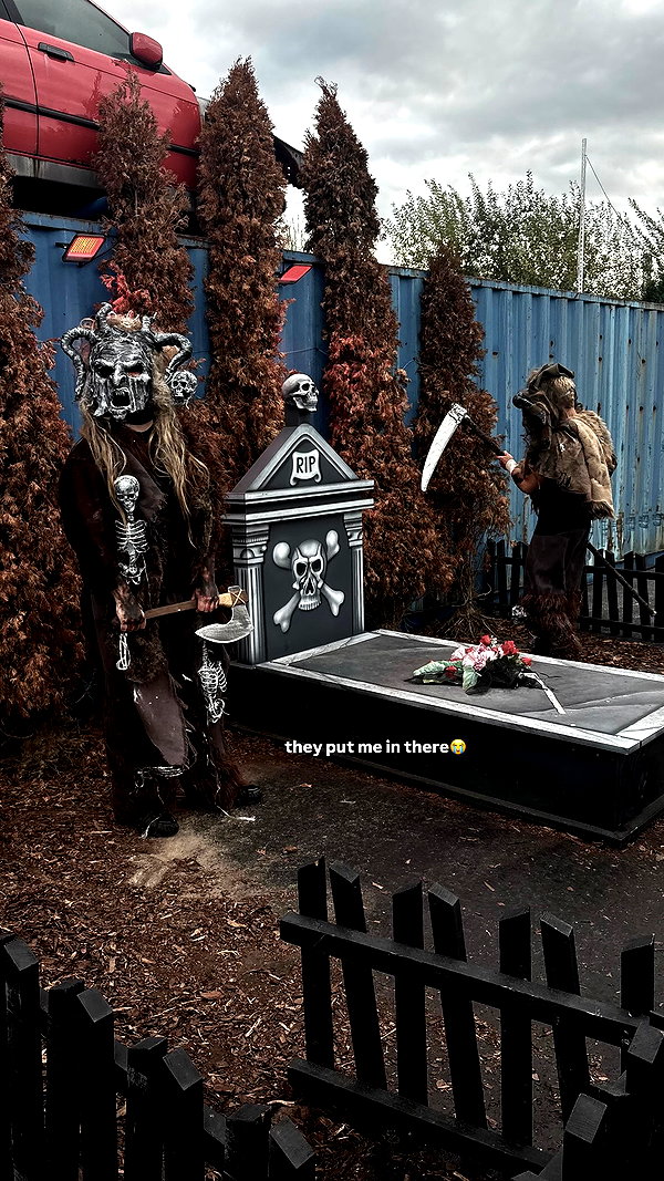 dilwwyy instagram image archive image