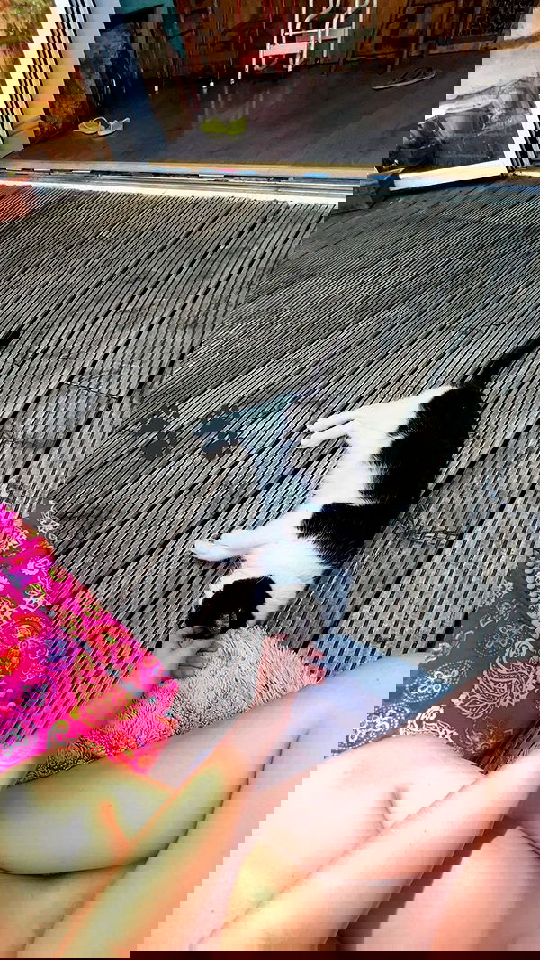 kitty.elliss kitty.elliss archive image