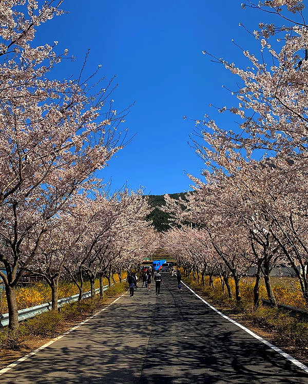 daxbin instagram image archive image
