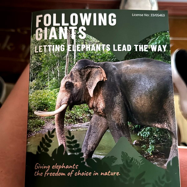 edenleiv instagram image archive image