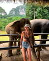 katiehamden_ Altpins Profile Picture