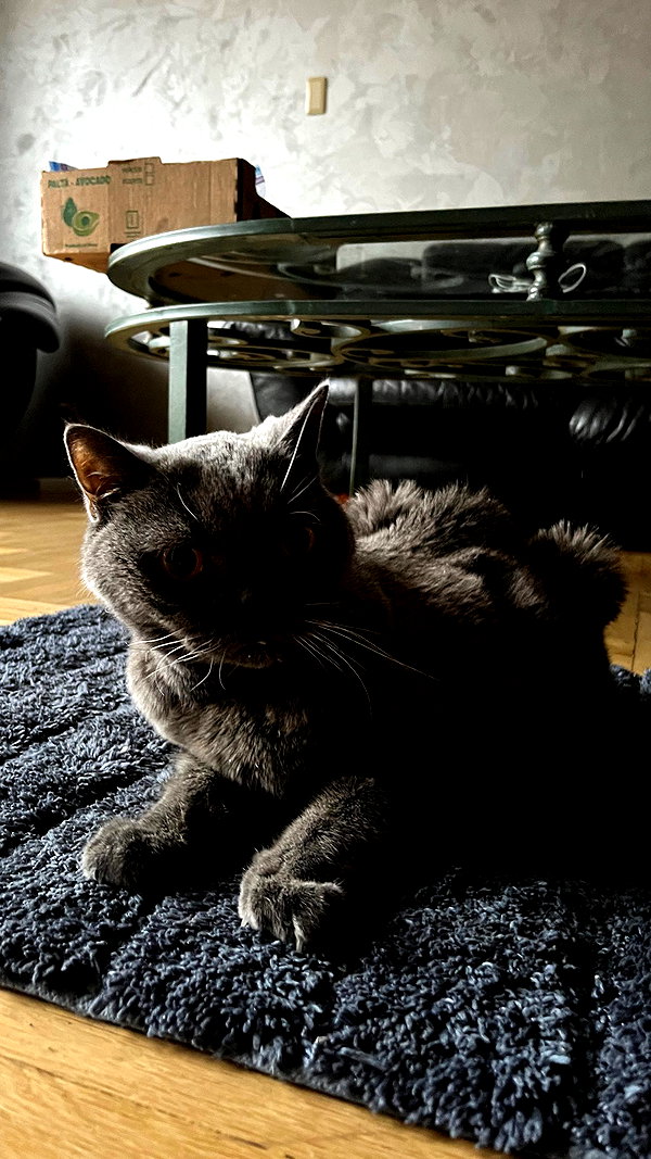 ptpchik instagram image archive image