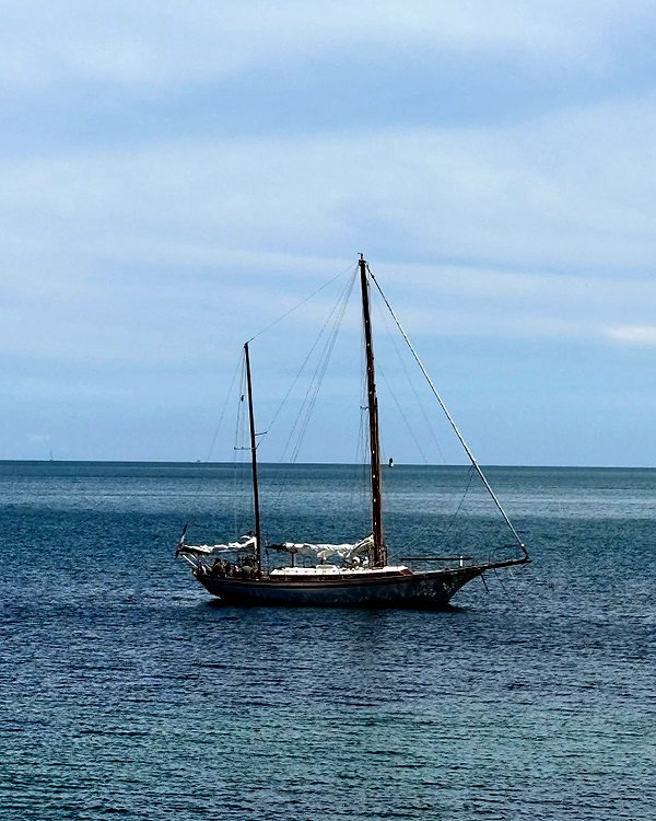 ninastodden instagram image archive image