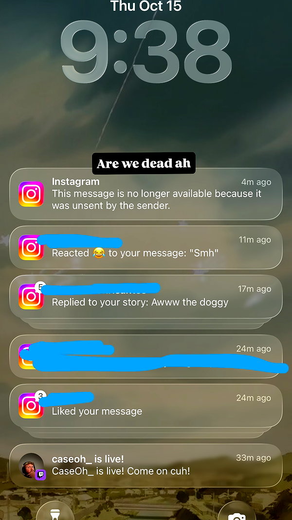 lazzybeans instagram image archive image