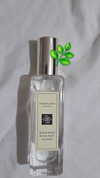avital_1010.2003 Altpins Profile Picture