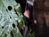 klywrxzzp Altpins Profile Picture