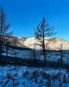 indra0102_ Altpins Profile Picture