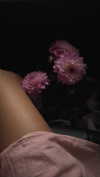 arabelladourado Altpins Profile Picture