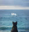 ellaexplicit_ Altpins Profile Picture
