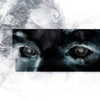hav_oku Altpins Profile Picture