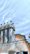 federica.piccinni Altpins Profile Picture