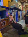 machine_mommy Altpins Profile Picture