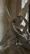 annabottoo Altpins Profile Picture