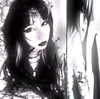 bat.wiings Altpins Profile Picture