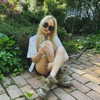 aseynat0r Altpins Profile Picture