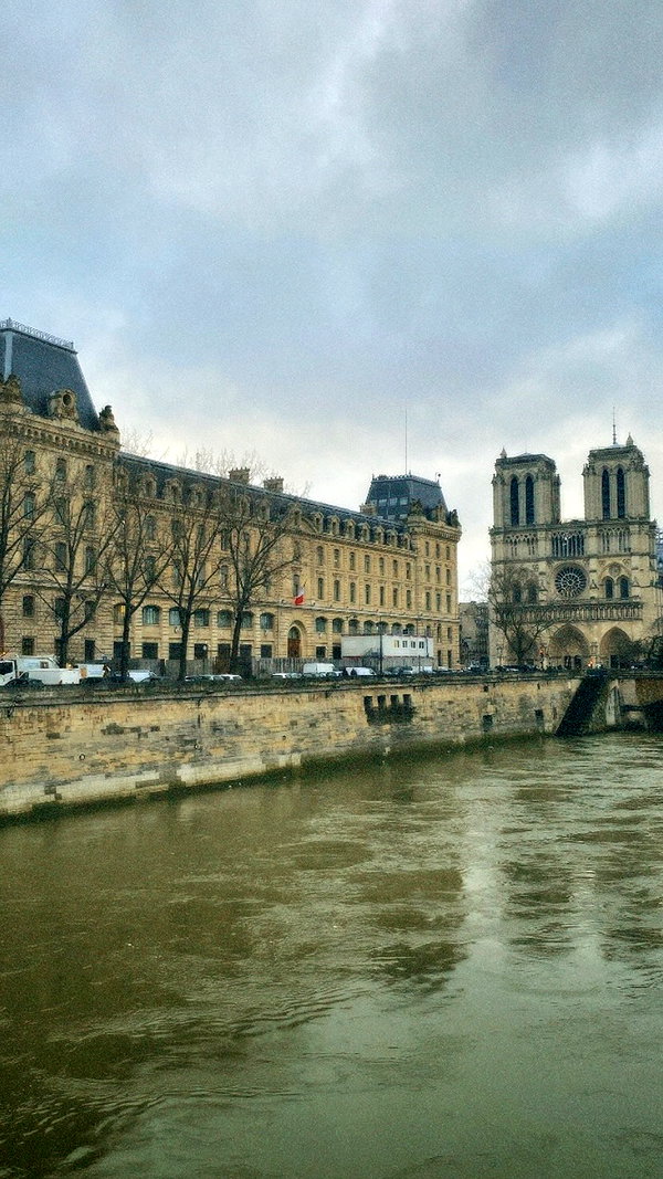 cristeldiiulio instagram image archive image