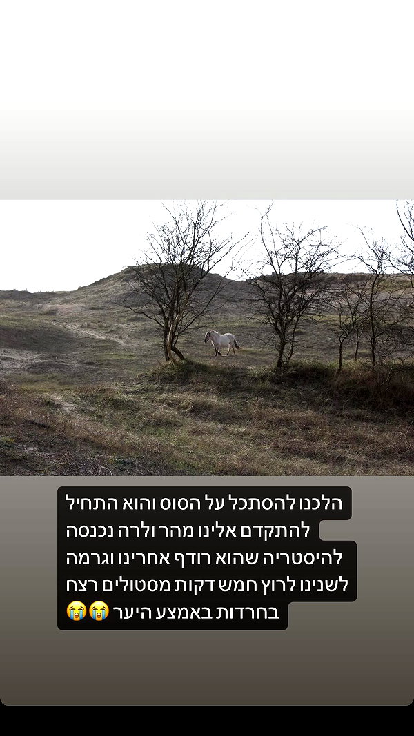 s111y_ccc0nt3 instagram image archive image