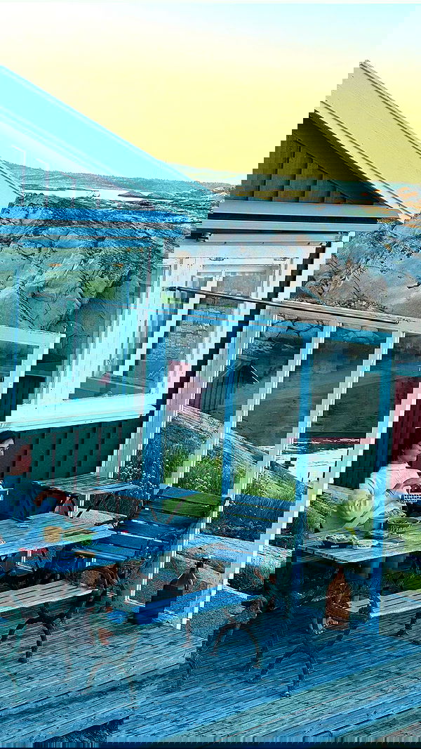 taylor.creeden taylor.creeden archive image