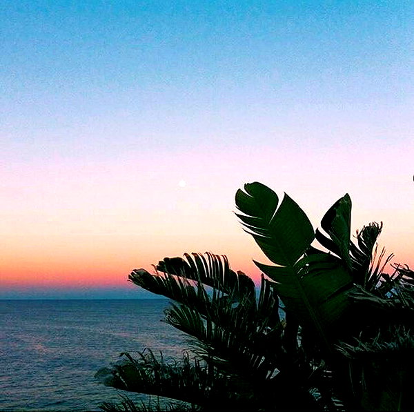 allieauton instagram image archive image
