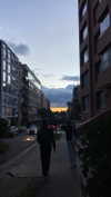 solzarubin_ Altpins Profile Picture