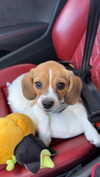 kyla.doddsss Altpins Profile Picture