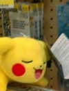 pikakaty Altpins Profile Picture