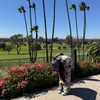 sav6ixx Altpins Profile Picture