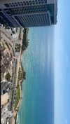 maori_cohen Altpins Profile Picture